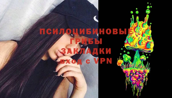 спайс Кулебаки
