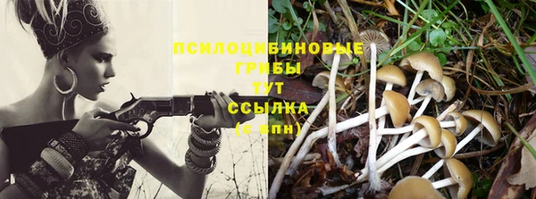 спайс Кулебаки