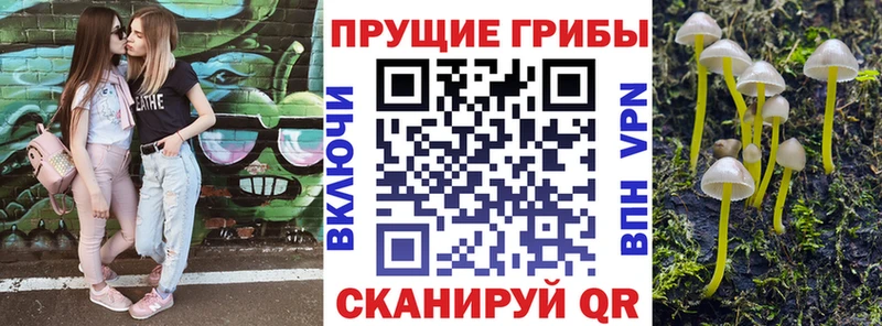 купить   Чадан  Псилоцибиновые грибы мухоморы 